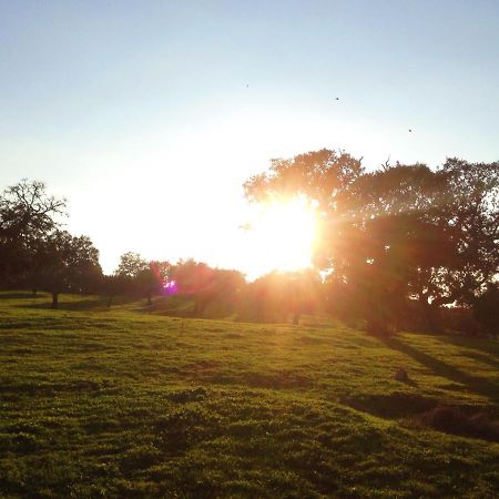 Casa De Campo Alter Pedroso Alter do Chão Kültér fotó