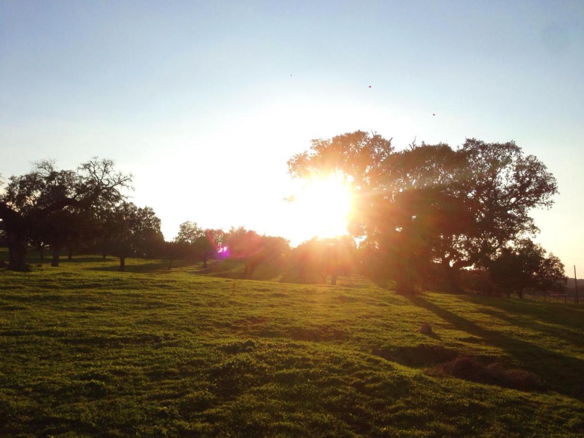 Casa De Campo Alter Pedroso Alter do Chão Kültér fotó
