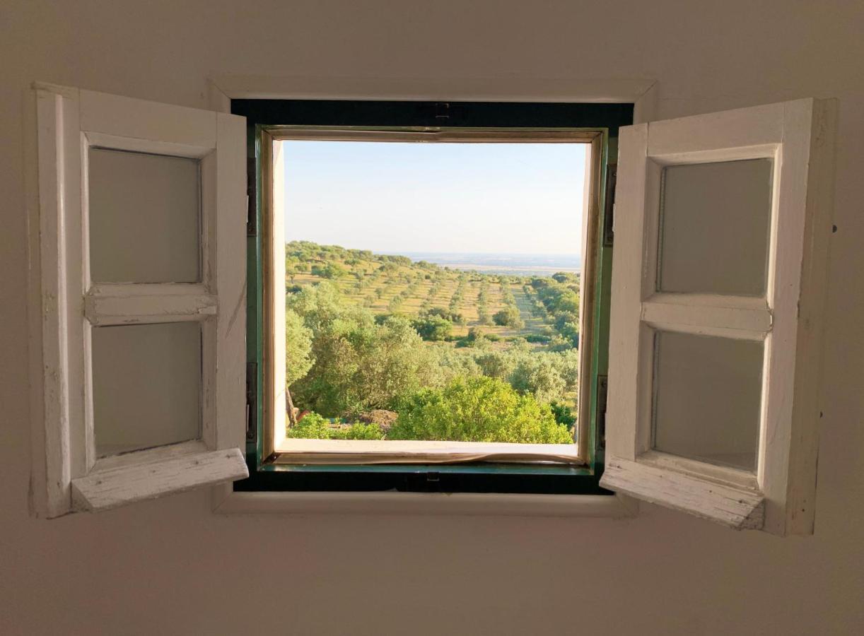 Casa De Campo Alter Pedroso Alter do Chão Kültér fotó